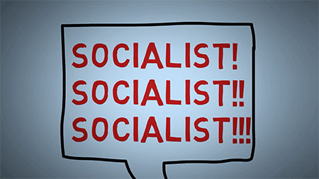 Are Democrats Socialists? by Bob Niemack